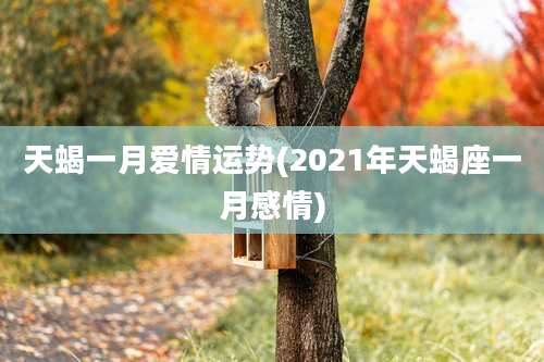 天蝎一月爱情运势(2021年天蝎座一月感情)