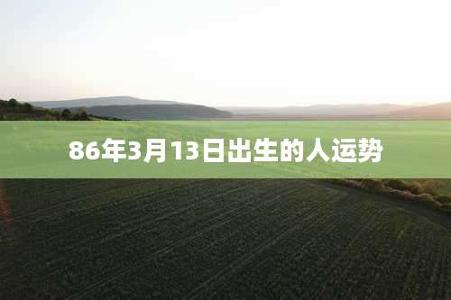 86年3月13日出生的人运势