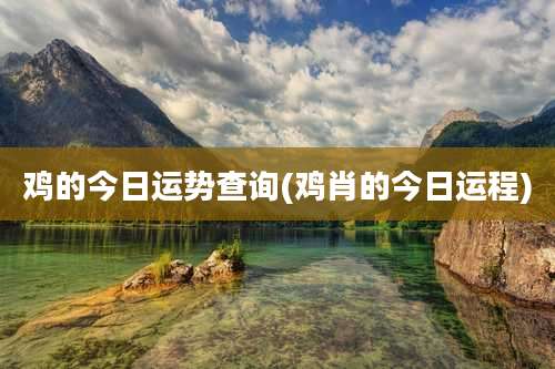 鸡的今日运势查询(鸡肖的今日运程)