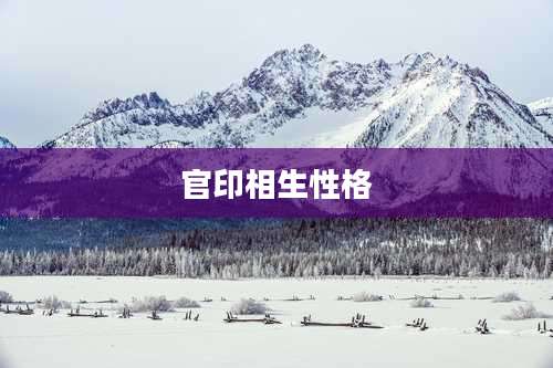 官印相生性格