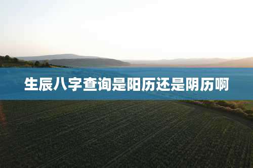 生辰八字查询是阳历还是阴历啊