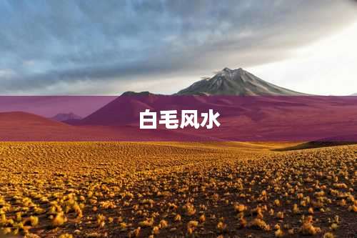 白毛风水