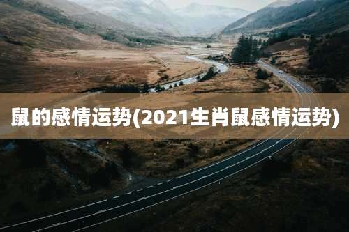 鼠的感情运势(2021生肖鼠感情运势)