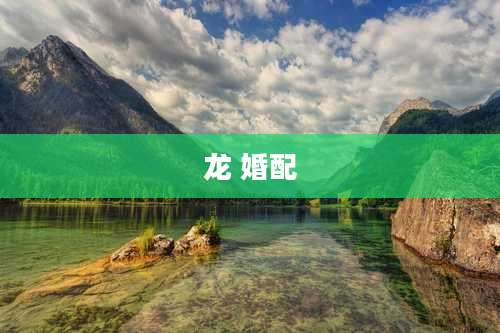 龙 婚配