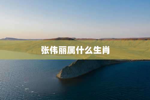 张伟丽属什么生肖