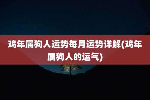 鸡年属狗人运势每月运势详解(鸡年属狗人的运气)