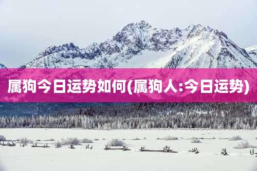 属狗今日运势如何(属狗人:今日运势)