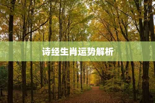 诗经生肖运势解析