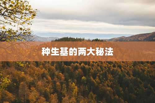 种生基的两大秘法