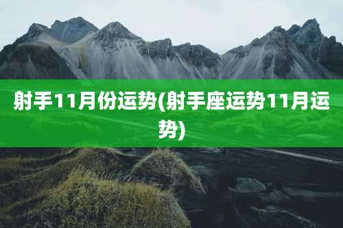 射手11月份运势(射手座运势11月运势)