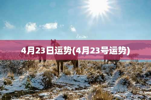 4月23日运势(4月23号运势)