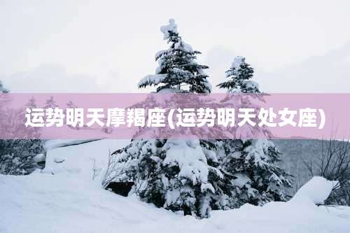 运势明天摩羯座(运势明天处女座)