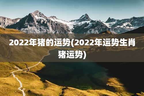 2022年猪的运势(2022年运势生肖猪运势)