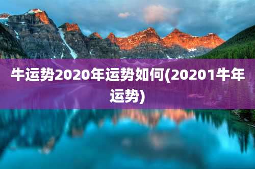 牛运势2020年运势如何(20201牛年运势)