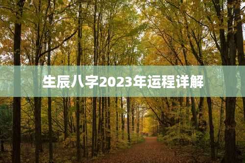 生辰八字2023年运程详解