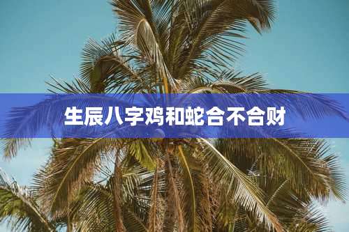 生辰八字鸡和蛇合不合财