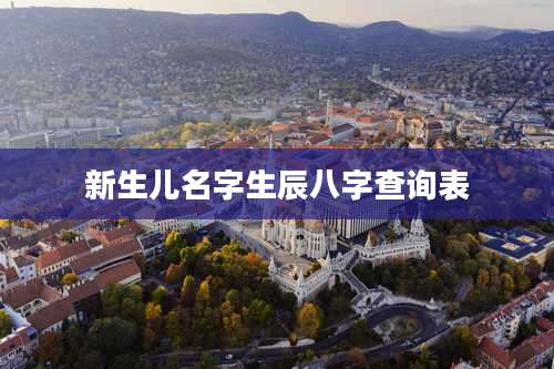 新生儿名字生辰八字查询表