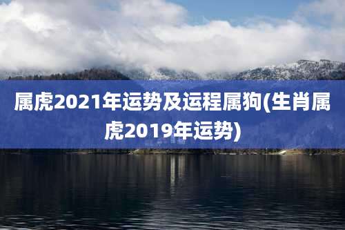 属虎2021年运势及运程属狗(生肖属虎2019年运势)