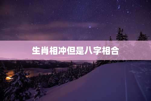 生肖相冲但是八字相合