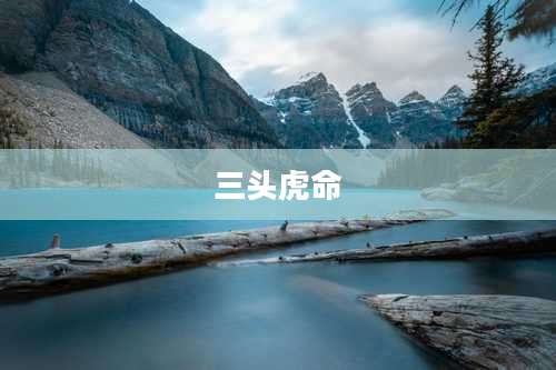三头虎命