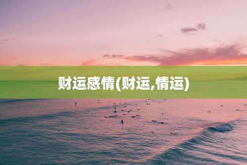 财运感情(财运,情运)