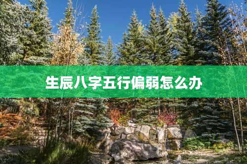 生辰八字五行偏弱怎么办