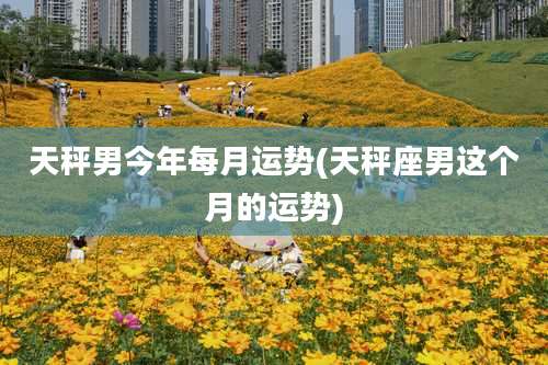 天秤男今年每月运势(天秤座男这个月的运势)