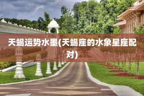 天蝎运势水墨(天蝎座的水象星座配对)