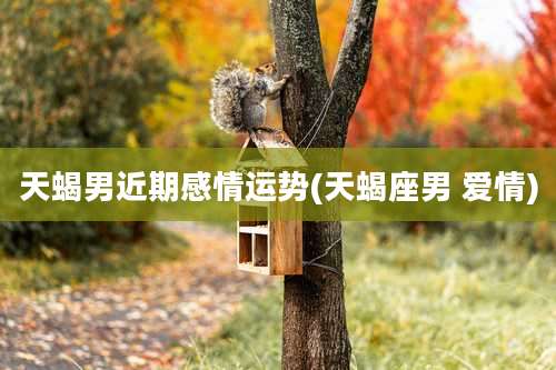 天蝎男近期感情运势(天蝎座男 爱情)