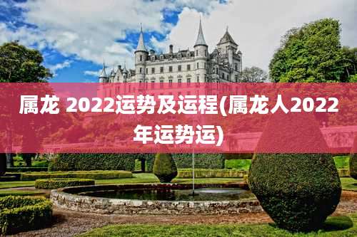 属龙 2022运势及运程(属龙人2022年运势运)