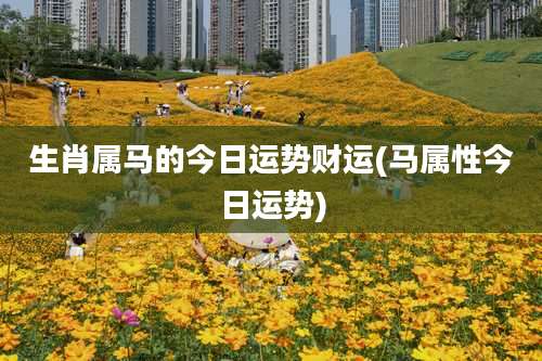 生肖属马的今日运势财运(马属性今日运势)
