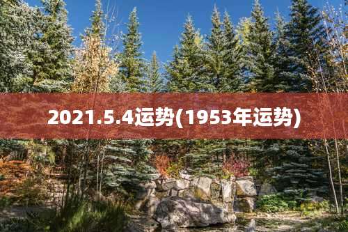 2021.5.4运势(1953年运势)