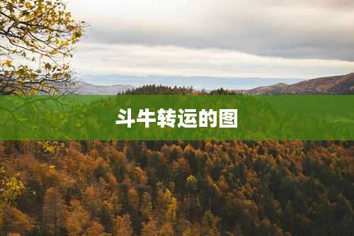 斗牛转运的图