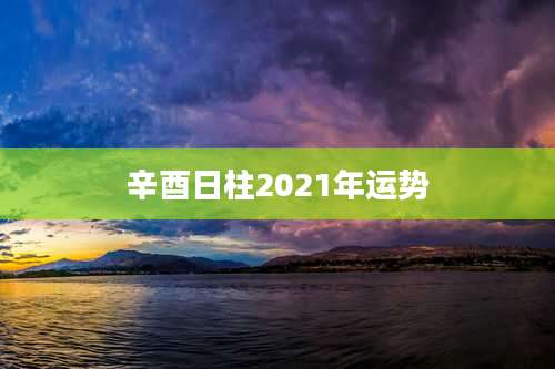 辛酉日柱2021年运势