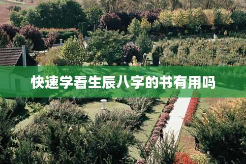 快速学看生辰八字的书有用吗