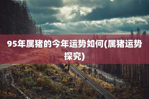 95年属猪的今年运势如何(属猪运势探究)