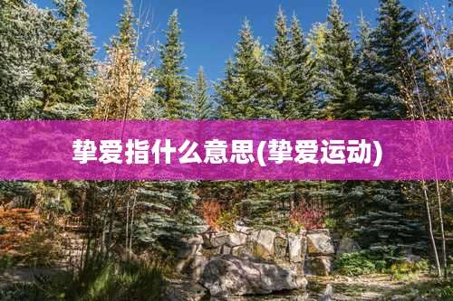 挚爱指什么意思(挚爱运动)