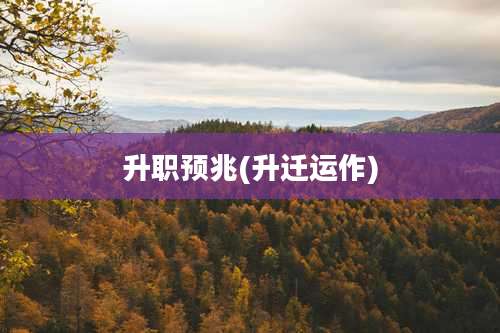 升职预兆(升迁运作)