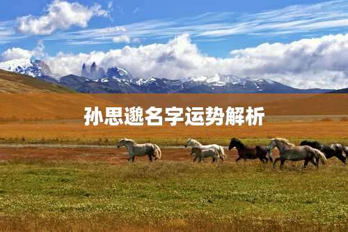 孙思邈名字运势解析