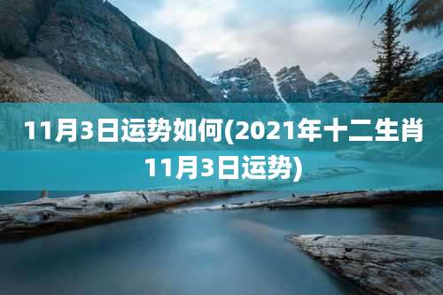 11月3日运势如何(2021年十二生肖11月3日运势)