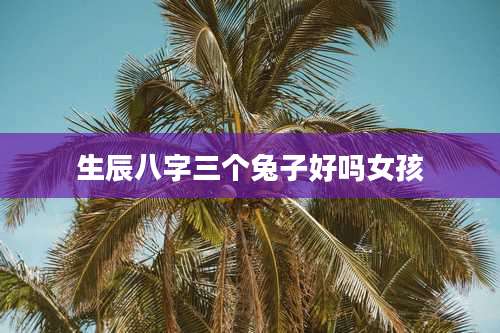 生辰八字三个兔子好吗女孩