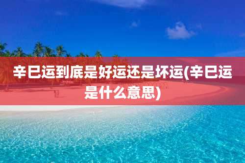 辛巳运到底是好运还是坏运(辛巳运是什么意思)