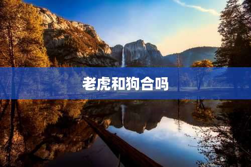 老虎和狗合吗