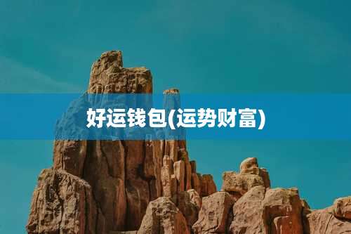 好运钱包(运势财富)