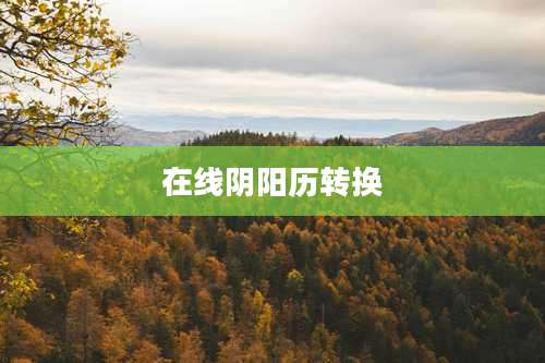 在线阴阳历转换