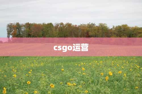 csgo运营
