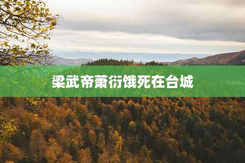 梁武帝萧衍饿死在台城