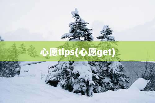 心愿tips(心愿get)