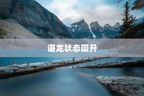 谌龙状态回升