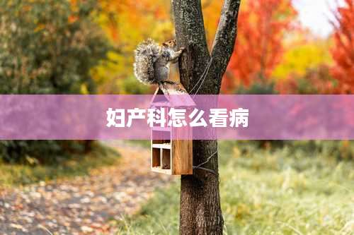 妇产科怎么看病